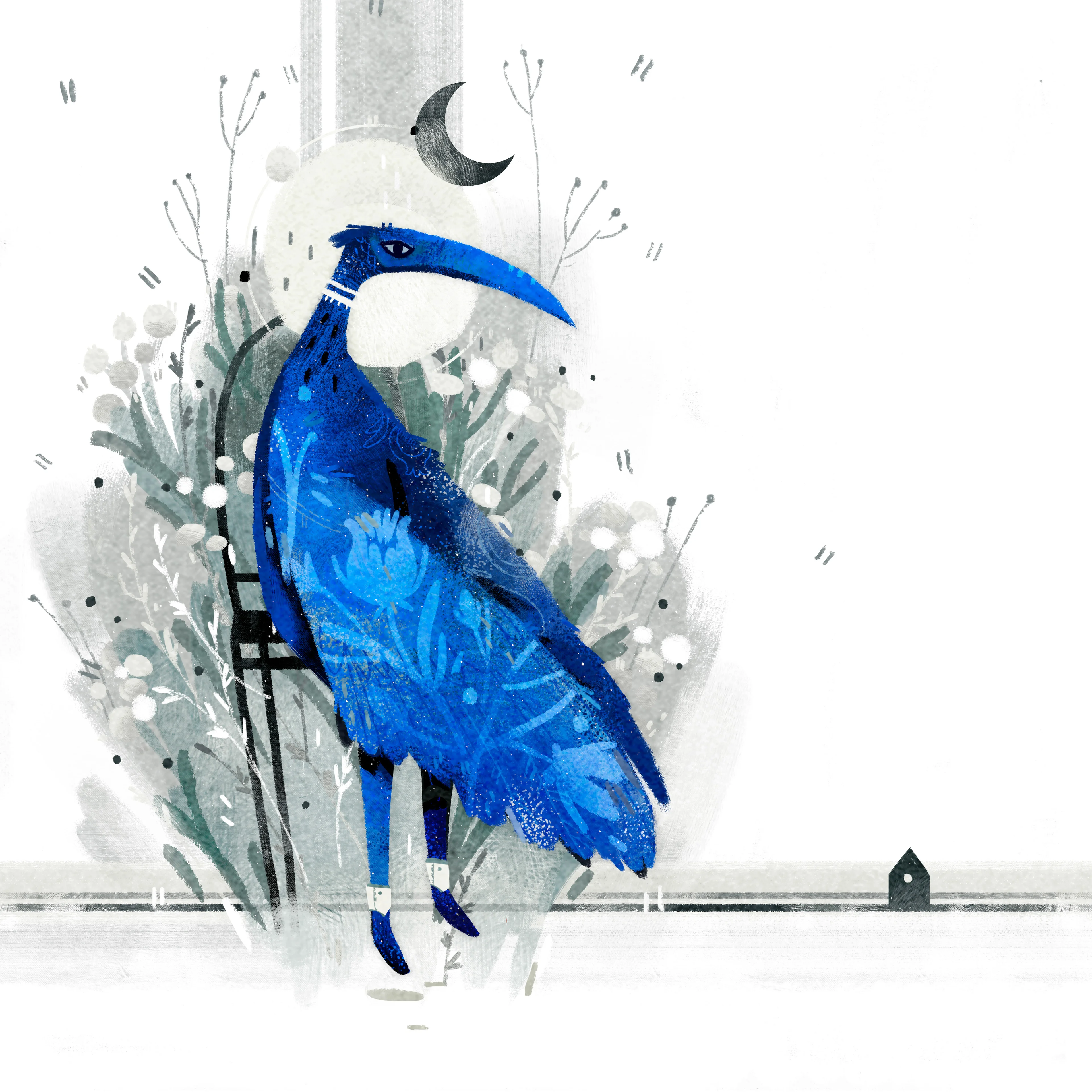 White Nights - Image 3