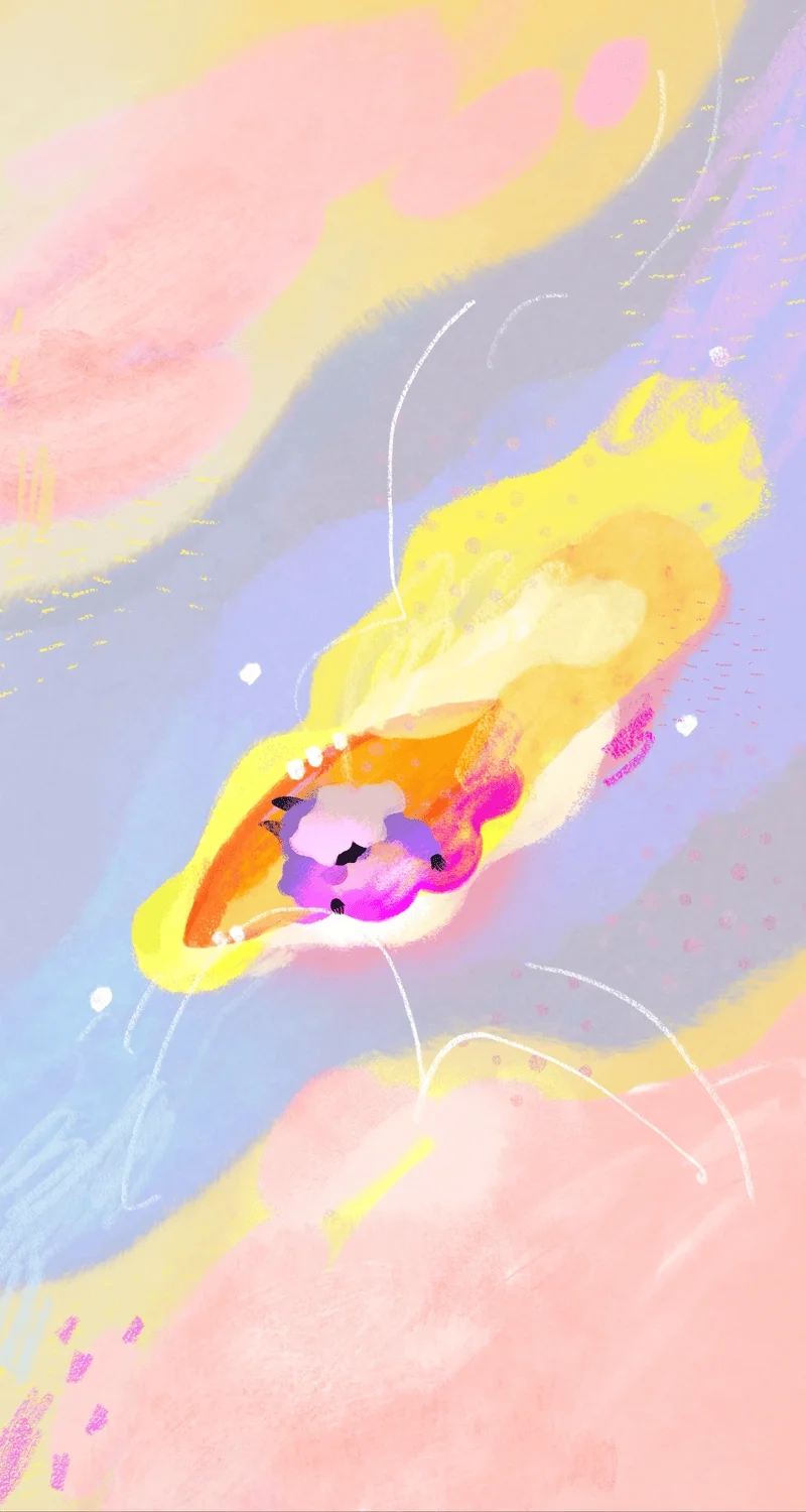 Fairytale journey - Image 16