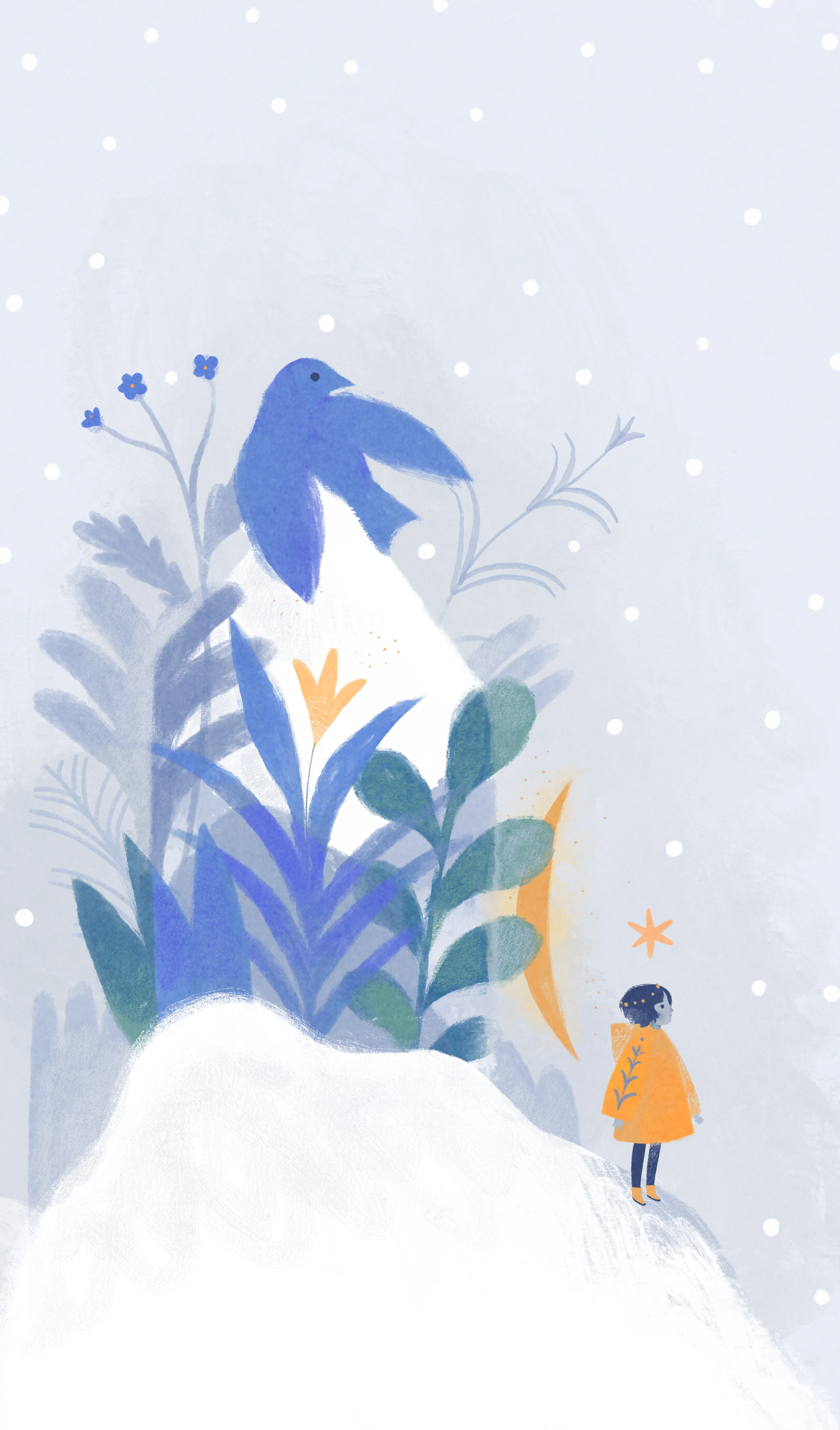 Anonymous - Illustration